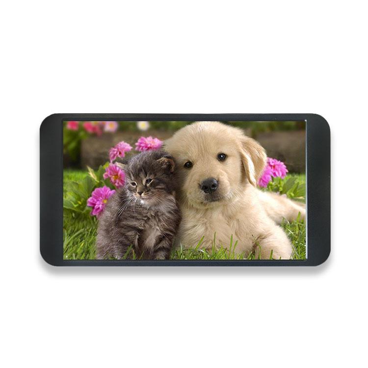 Gaming Console With - Moniteur portable 7 pouces 1080P 1920*1080